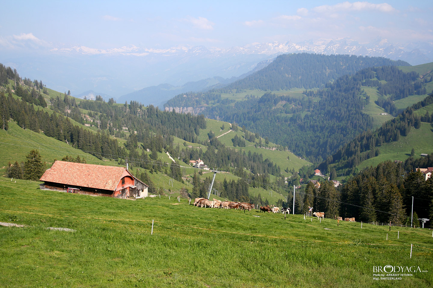 Rigi